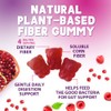 Fiber Gummies – Sugar Free Prebiotic Plant-Based Fiber 4g per