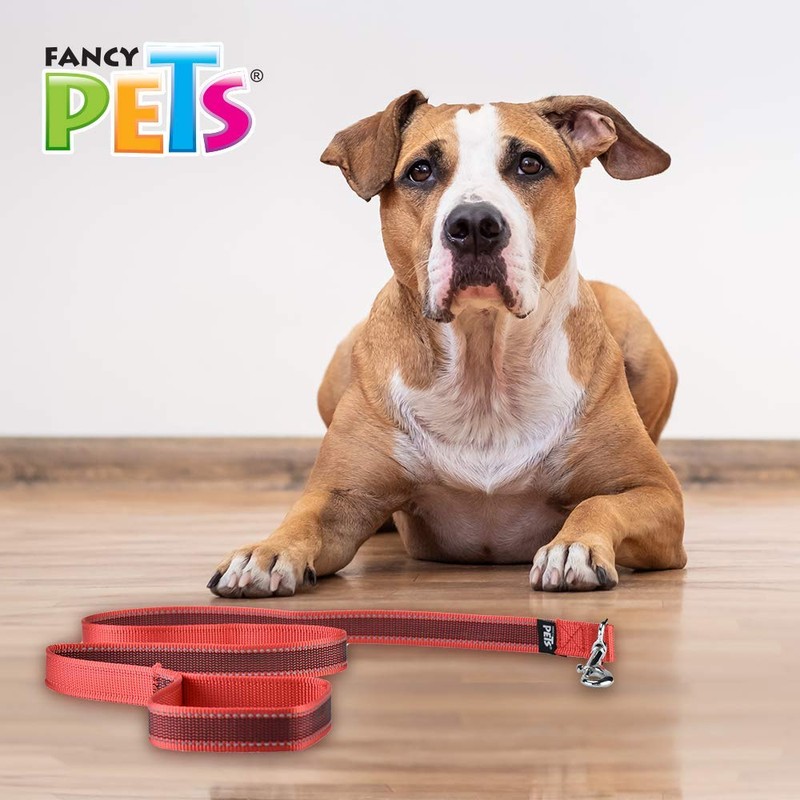 Fancy Pets Correa para Perro con Ultra Grip y Bandas