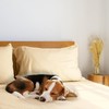 LuxClub Fitted Sheet King Bedding with 40cm Depth, Extra Deep