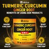 6 in 1 Turmeric Curcumin + Ginger Capsules, 95% Curcuminoids