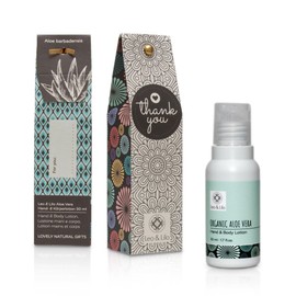 Leo & Lilo Small Greeting Hand & Body Lotion with Organic Aloe Vera 5 x 50 ml in Beautiful 'Thank You' Gift Box