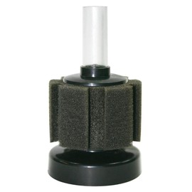 ICA bfbaby Filter Bio-esponja Ocean Free