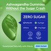 Sugar-Free Ashwagandha Gummies for Stress, Sleep & Mood Support -