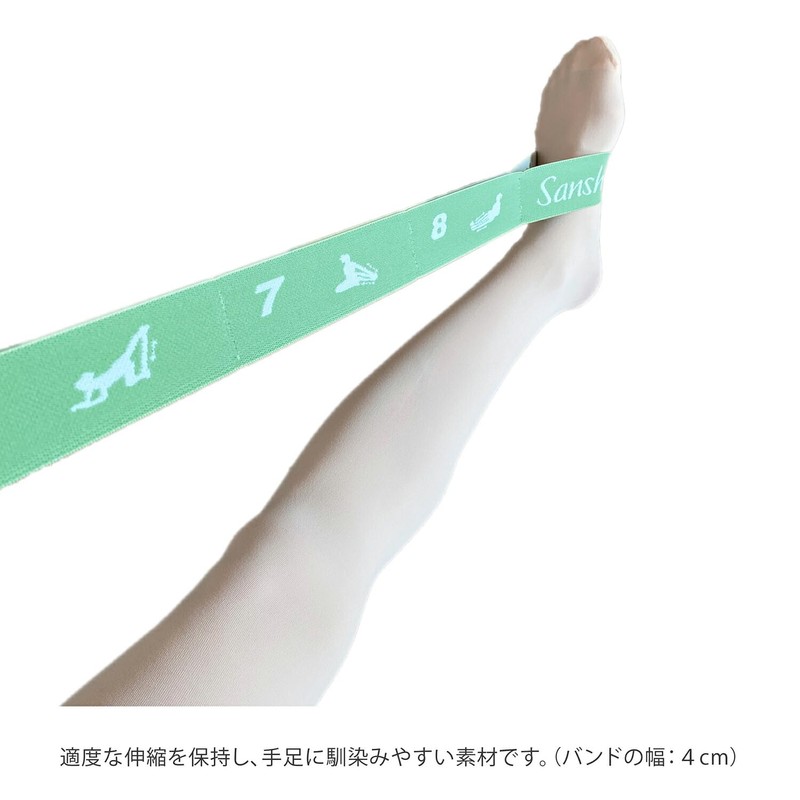 Sansha 91AH0001 Stretch Loop Band (Green) 37.8 x 1.6 x
