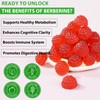 HBIKCLYC Berberine Gummies Supplement, Sugar-Free Berberine Ceylon Cinnamon Supplement for