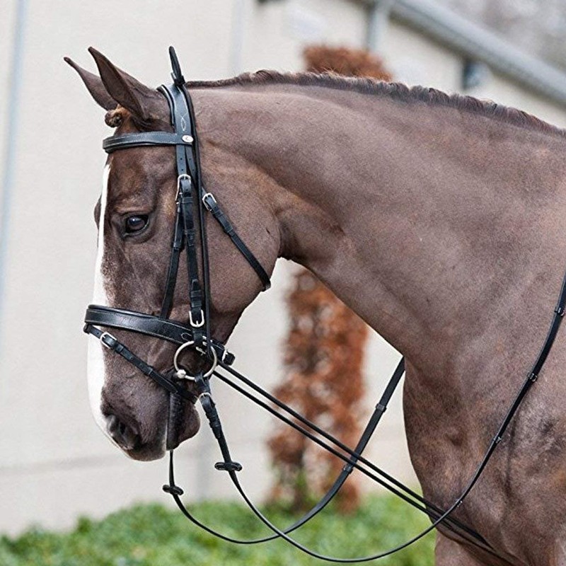 NEFTF Horse Reins Elastic Neck Stretcher Adjustable Training Rope 9.8ft