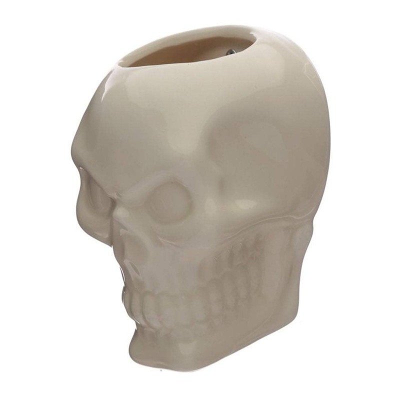 Ceramic Skull Garden Wall Planter