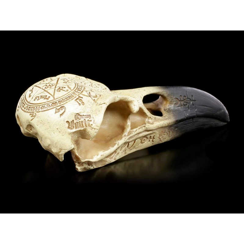 Gamital Alchemy Gothic Raven Skull - Omega | Fantasy Raven