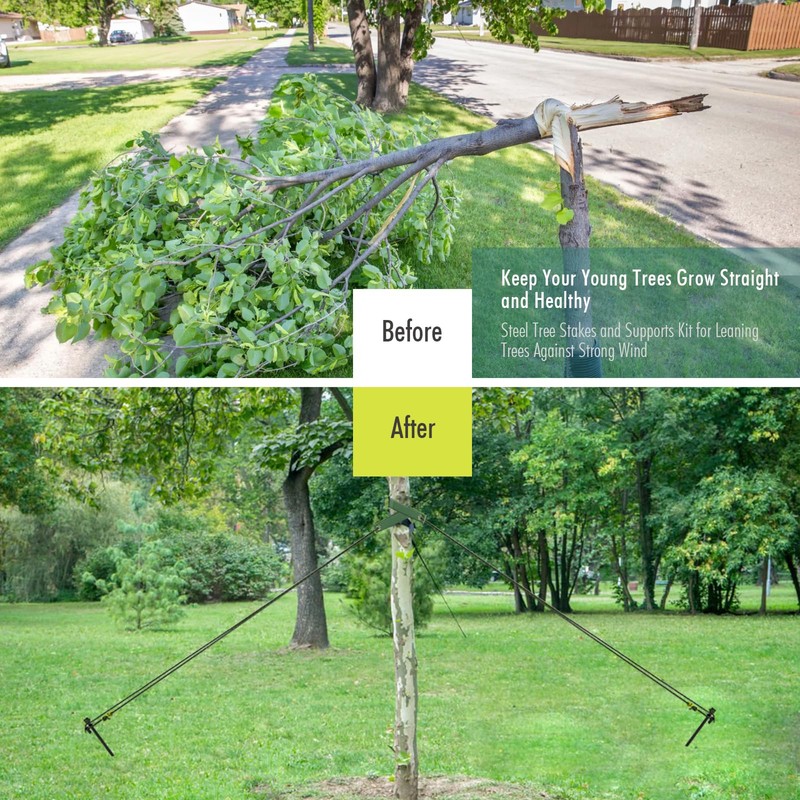 Tree Stakes and Supports, Fetanten Tree Stake Kit with Tree