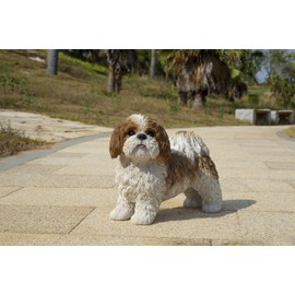 Hi-Line Gift Brown & White Standing Shih TZU