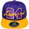 4350 DISTRICT Men's Adjustable Cotton Snapback Cap 10 (N21LEG11 PURGLD)