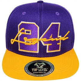 4350 DISTRICT Men's Adjustable Cotton Snapback Cap 10 (N21LEG11 PURGLD)
