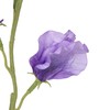 Allstate Sweet Pea Artificial Floral Spray - 22" - Dark