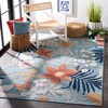 SAFAVIEH Cabana Collection Accent Rug - 4' x 6', Aqua
