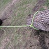 Timber Tuff 15 Foot 4,700 Pound Maximum Pulling Force Choker
