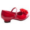 DressForLess Mary Jane Shoes with Pretty Satin Rolled Rosettes Patent