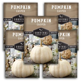 Survival Garden Seeds - Casper Pumpkin Seed for Planting - 5 Packs with Instructions to Plant and Grow in Your Home Vegetable Garden - Non-GMO Heirloom Variety