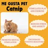 ME GUSTA PET Catnip Stalkless Dried Ground Premium Bulk Bag