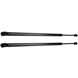 ECCPP Lift Support Liftgate Replacement Struts Gas Springs Fit For Chrysler Aspen 2007-2009,For Dodge for Durango 2006-2009 Set of 2