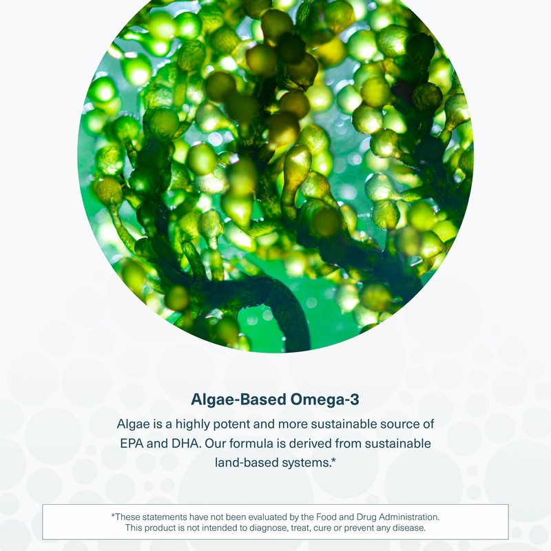 Youtheory Ocean-Friendly Omega - Vegan Algae Omega 3 Softgel -