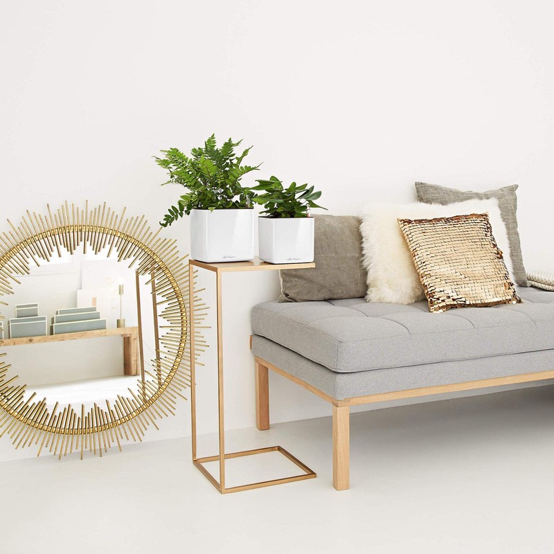 Lechuza Cube - Glossy, High-Quality Plant Cube with Stick Irrigation