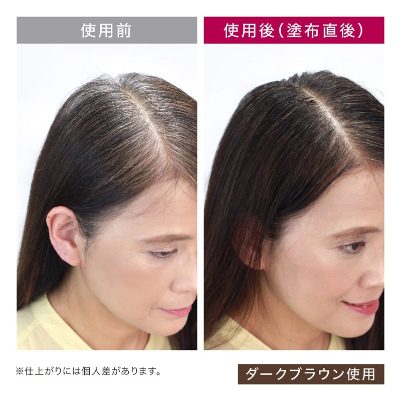 Treatment Hair Dye, Silaganese Point Rich Color EX, Partial Gray