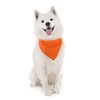 Dog Cotton Bandanas - 4 Pack - Scarf Triangle Bibs