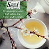 Simpli-Special Pomegranate Dragon Fruit Premium Green & White Loose Leaf