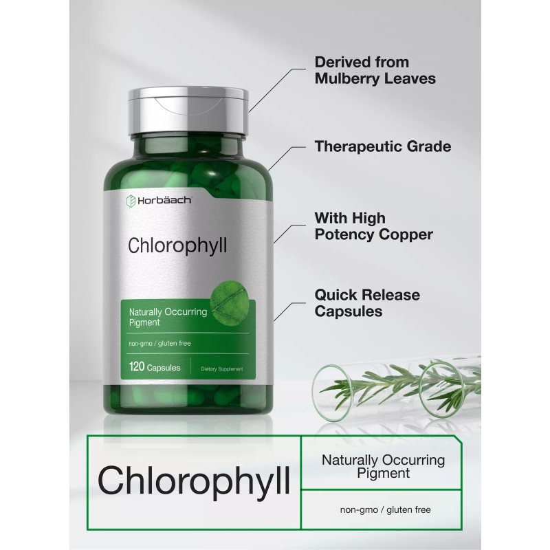 Horbäach Chlorophyll Capsules | 120 Count | Naturally-Occurring Pigment |
