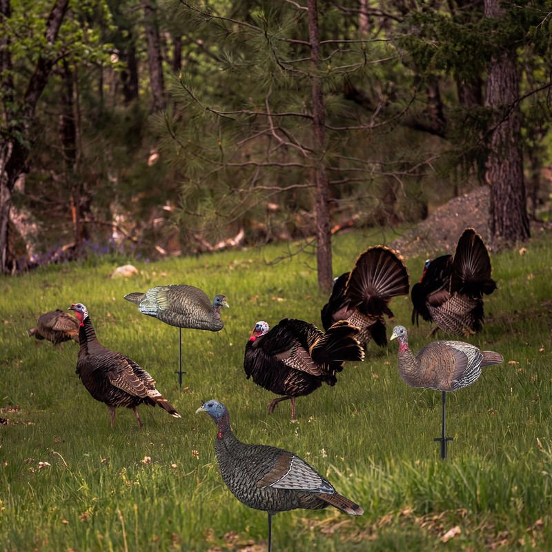 Archerest 2 Pcs Turkey Decoy Hunting Stakes, Portable Replacement Pole