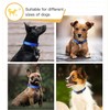 Strong Bright Reflective Dog Puppy Collar, Soft Padded Lightweight, Fully