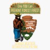Only You Can Prevent Forest Fires! Sticker Bumper Sticker Vinyl