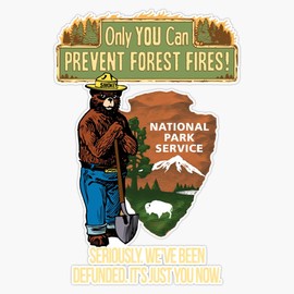 Only You Can Prevent Forest Fires! Sticker Bumper Sticker Vinyl Decal 5"