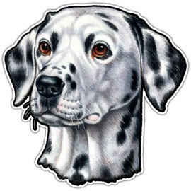Cute Dalmatian Dog Pet Vinyl Sticker - Playful Car Bumper & Window Sticker Laptop Skateboard Luggage Sticker for Truck Hardhat Stickers for Men and Woman 4.5" (sp57)