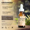 Lions Mane Supplement - High Strength 115,000mg Lions Mane Extract