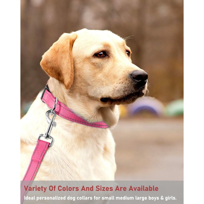 Reflective Dog Collar with Buckle Adjustable Safety Nylon Collars for