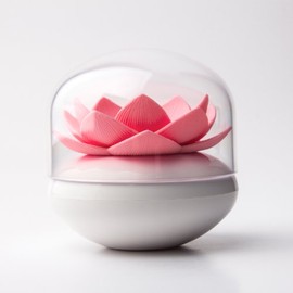 Qualy-Cotton Bud Box Lotus White/Pink