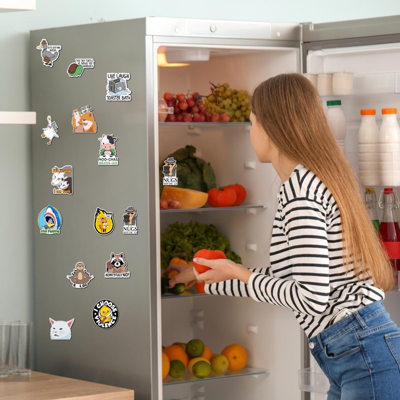 16PC Funny Fridge Magnets, Reusable Cute Magnets Animals and Words