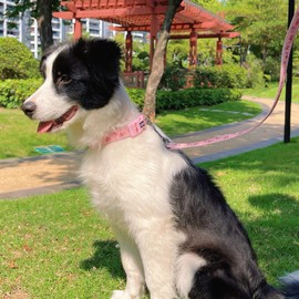 YUDOTE Adjustable Pink Nylon Dog Collar Large with Floral Patterned Ribbon for Lively Female Dogs Neck 40-66cm