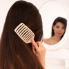 Andwing Paddle Brush by Shani Wigs All Hairstyle Wet Paddle