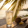 Vita Coco Coconut Juice, Original with Pulp | Big, Bold