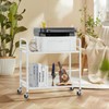 HDANI 2 Tier Under Desk Printer Stand with Storage,Microwave Storage