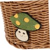 BIUDECO Woven Wall Storage Basket for Garlic Onion and Fruits