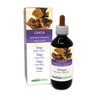 Chaga (Inonotus obliquus) Fungus or Mushroom Alcohol-Free Mother Tincture Naturalma