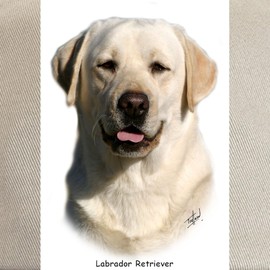 CafePress Labrador Retriever 9Y383D 267 Cap Unique Adjustable Baseball Hat Khaki