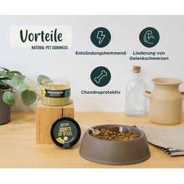 Wolf Belly - Grünlippmuschel Hund Pulver 100% Natürlich (60gr) Gelenkpulver für Hunde und Katzen Vitamine, MSM für Arthrose Hund, Gesundheitsprodukte mit hohem Kurkuma für Hunde - Joints of Steel