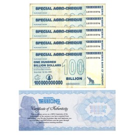 5 Zimbabwe 100 Billion Special Agro Cheque banknote 2008, P-64 USED COA PARKER