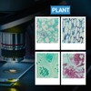 100P Microscope Slides with Biological Samples, Animals, Insects, Plants, Human