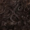 Short Curly Wavy Wigs Women Female Synthetic Hair Brown Wigs