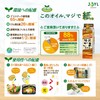 JOYL Roasted Sesame Flavored Oil (Cholesterol 0) Ajinomoto J-Oil Mills
